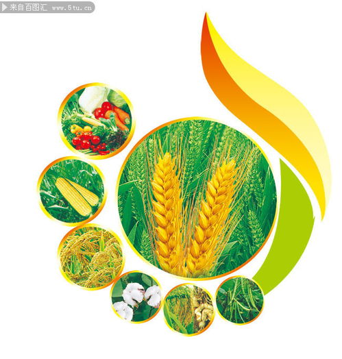 農產品 連接田野與餐桌的自然饋贈