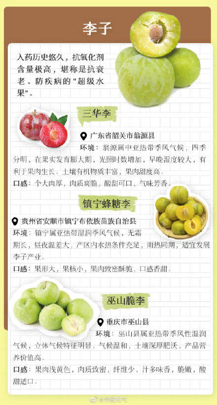 小暑節(jié)氣到！全國(guó)優(yōu)質(zhì)農(nóng)產(chǎn)品推薦地圖出爐，夏日爆品一網(wǎng)打盡