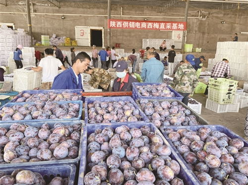 土特產(chǎn)育出致富新底氣——農(nóng)產(chǎn)品發(fā)展的機(jī)遇與路徑