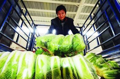 農(nóng)產(chǎn)品的多樣性與重要性