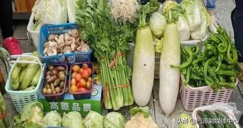 門源 夯實(shí)綠色有機(jī)發(fā)展基礎(chǔ)，全面推進(jìn)農(nóng)產(chǎn)品綠色生產(chǎn)