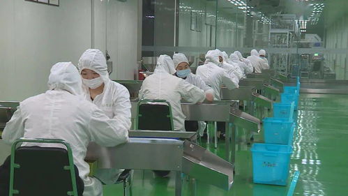 新起點新征程 峨眉山經濟開發區引領農產品加工業高質量發展