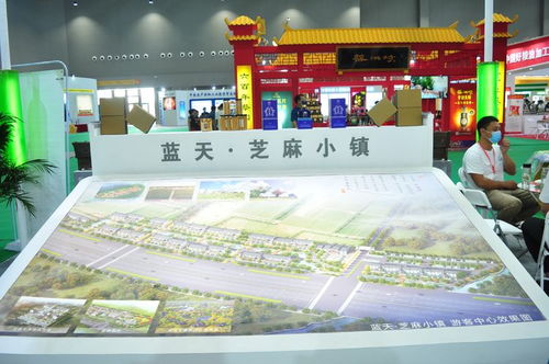 藍(lán)天芝麻小鎮(zhèn)特色農(nóng)產(chǎn)品 在第二十三屆中國(guó)農(nóng)加會(huì)上綻放異彩