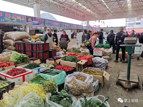 供應充足采購旺，農產品批發市場迎購銷熱潮